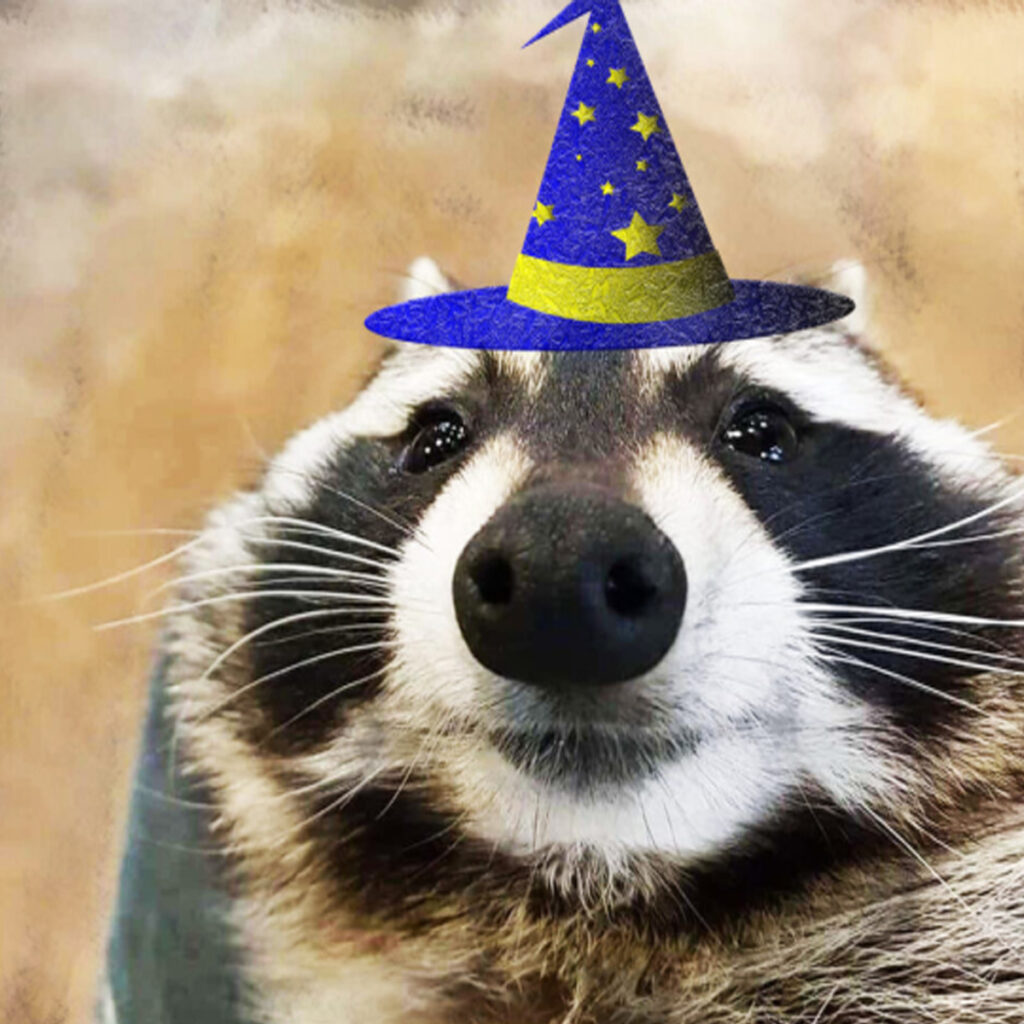 wizard